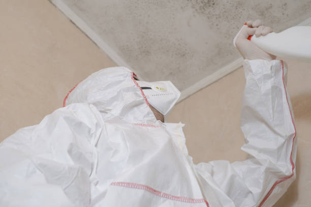 Best Residential Mold Remediation in Royal City, WA